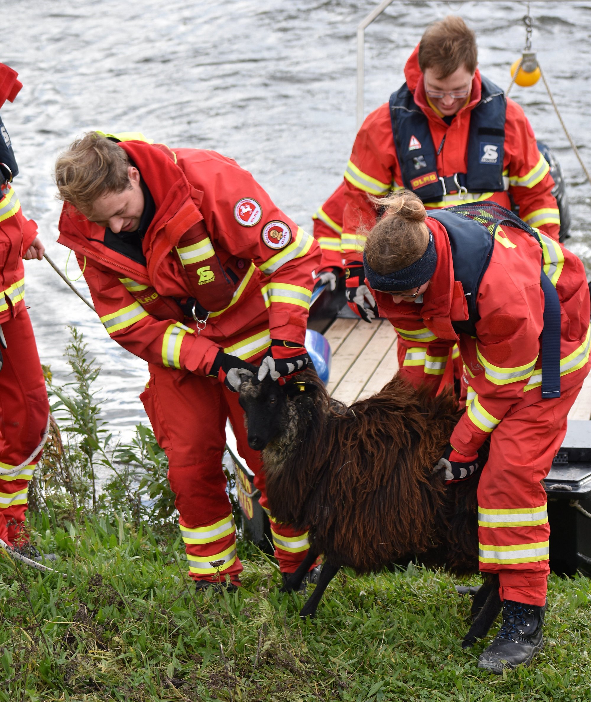 Einsatzkräfte bei der Evakuierung eines Schafes